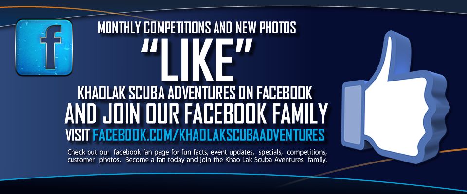 facebook promotion