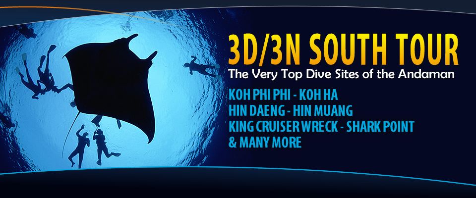 Manta Queen IV Liveaboard Promotion Manta Queen IV Liveaboard Promotion
