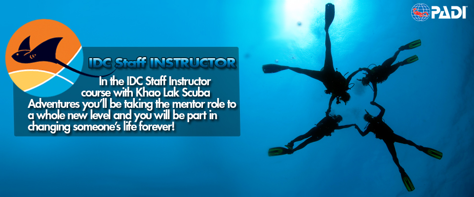 idc-staff-instructor